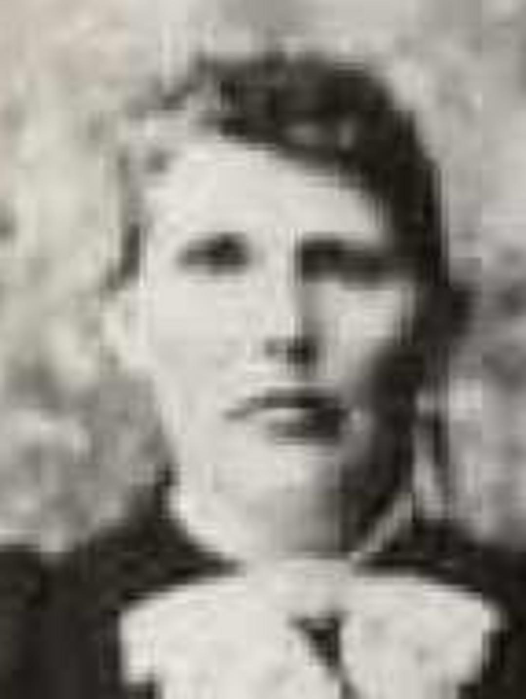 Emily Allen (1845 - 1936) Profile
